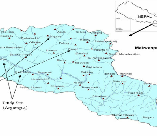 उपमहानगरपालिकामा घरको नक्सा निःशुल्क