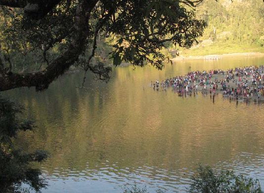 बराहपोखरीबाट ३५ केजी रातो माछा निकाल्ने दुई पक्राउ