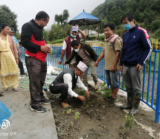 जनयुद्धका महान शहिद दिलकाजी-इन्दिरा कार्कीको स्मृतिमा दिक्तेलमा वृक्षारोपण (फोटोफिचरसहित)