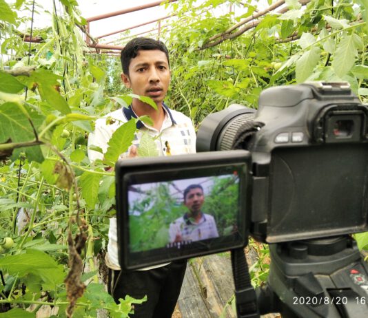टनेलेदेखि हाईटेक प्रबिधिसम्म : युवा कृषक तथा जनप्रतिनिधिको कृषि यात्रा