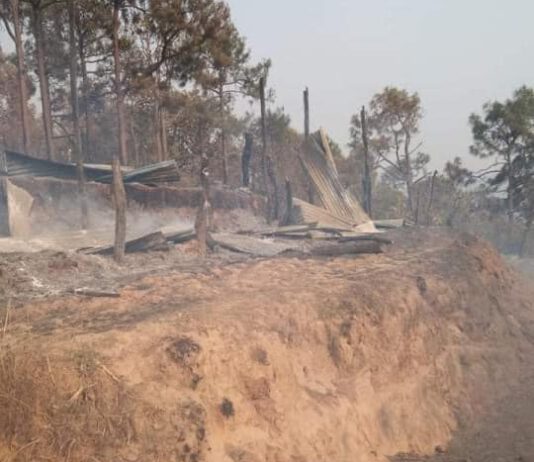 खोटाङको तीन सामुदायिक जंगलमा डढेलो