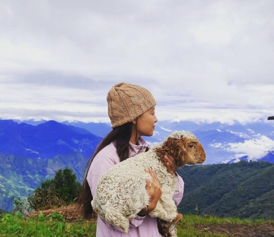 यात्रा संस्मरण : घरबाट पुर्बतिर…..