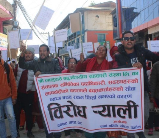 लालुपाते सहकारी २६५ बचतकर्ताले बचत फिर्ताका लागि दिए उजुरी