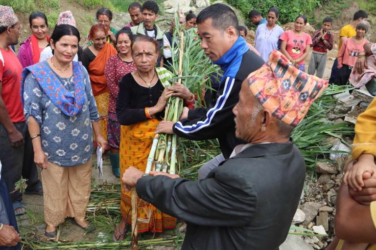 आफ्नो तलबवाट घाँसको बिरुवा बितरण गर्दै उपमेयर राई