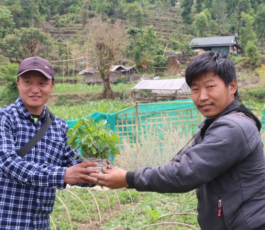 ‘कृषकसँग माओवादी केन्द्र’ कृषि कार्यक्रम केपिलासगढी ४ बाक्सिलामा